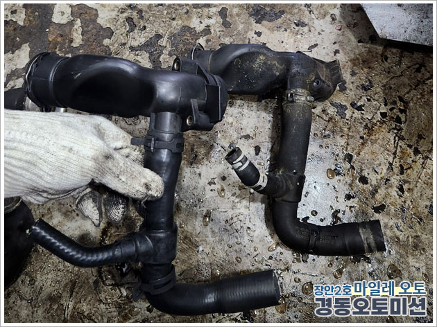 988334208_8r3URWau_add4ba6c38984a86f15ea8535ba19f5504e36db6.jpg 이미지크게보기