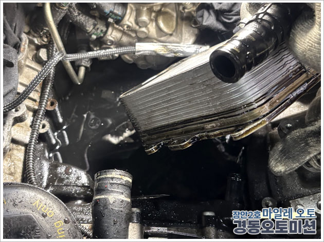 988334208_OcRDnwmN_b4304f62bb0256fe58478664cc2a7d02c834b5a3.jpg 이미지크게보기