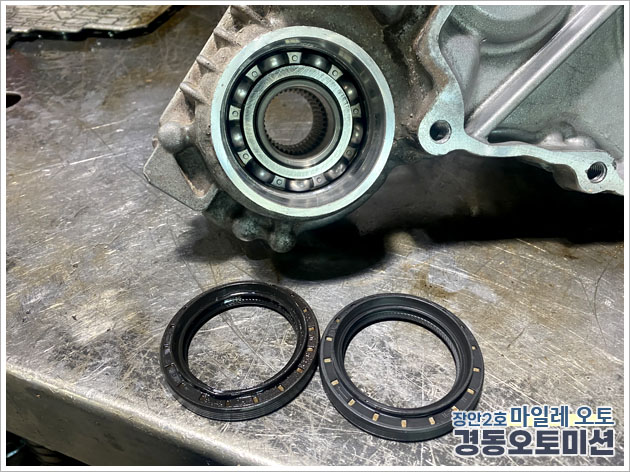 988334208_brR9O4JU_8e0a75fb475fc28c82fb9042128a317e6ff56aa9.jpg 이미지크게보기