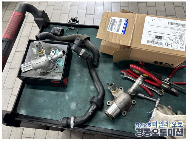 988334208_lfoyXZEH_d56a810e85a7061b0a08b4f37240020ad0f2477b.jpg 이미지크게보기