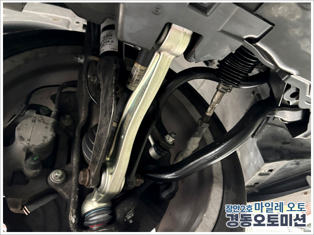 990491783_F1nVCAJo_32b3b257a43afd06662228b079a8c244fcde5d5f.jpg 이미지크게보기