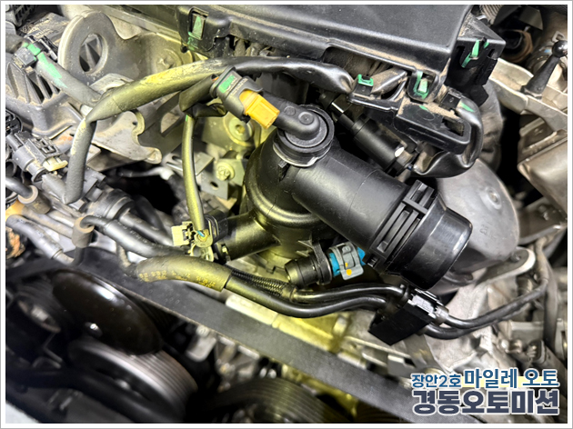 990491783_a0qPBnyr_f49b0689a5e99f2ffc838920d56ea9e74fd8c814.jpg 이미지크게보기