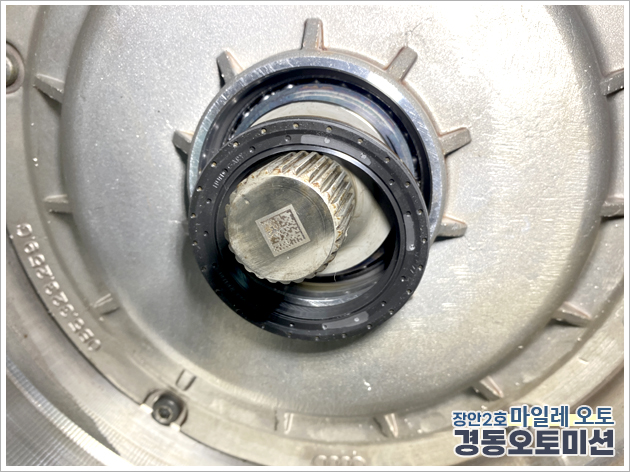990491783_adrvp68F_725beeb86ee9ec13c1573455e6cd1732b37855d7.jpg 이미지크게보기