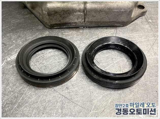 990491783_t9oYC8NL_fdf286387adf944d9bd5feb2372b776a343d4dd5.jpg 이미지크게보기